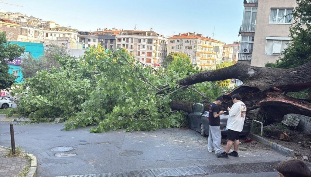 Beşiktaş’ta 150 yıllık ağaç, 3 otomobili hurdaya çevirdi – Son Dakika Türkiye Haberleri