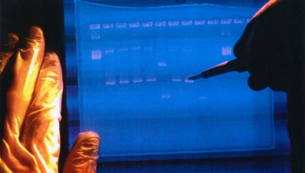 DNA’lar yeniden kodlanacak: Laboratuvarda “insan üretimi” başlıyor! – Son Dakika Teknoloji Haberleri