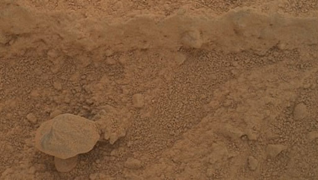 NASA fotoğrafladı: Kızıl Gezegen’de yetişen gizemli mantar – Son Dakika Teknoloji Haberleri