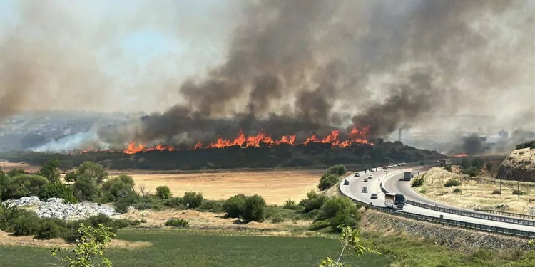 Türkiye’de orman yangınları:Son iki günde ülke genelinde 150 yangın çıktı – BRTK