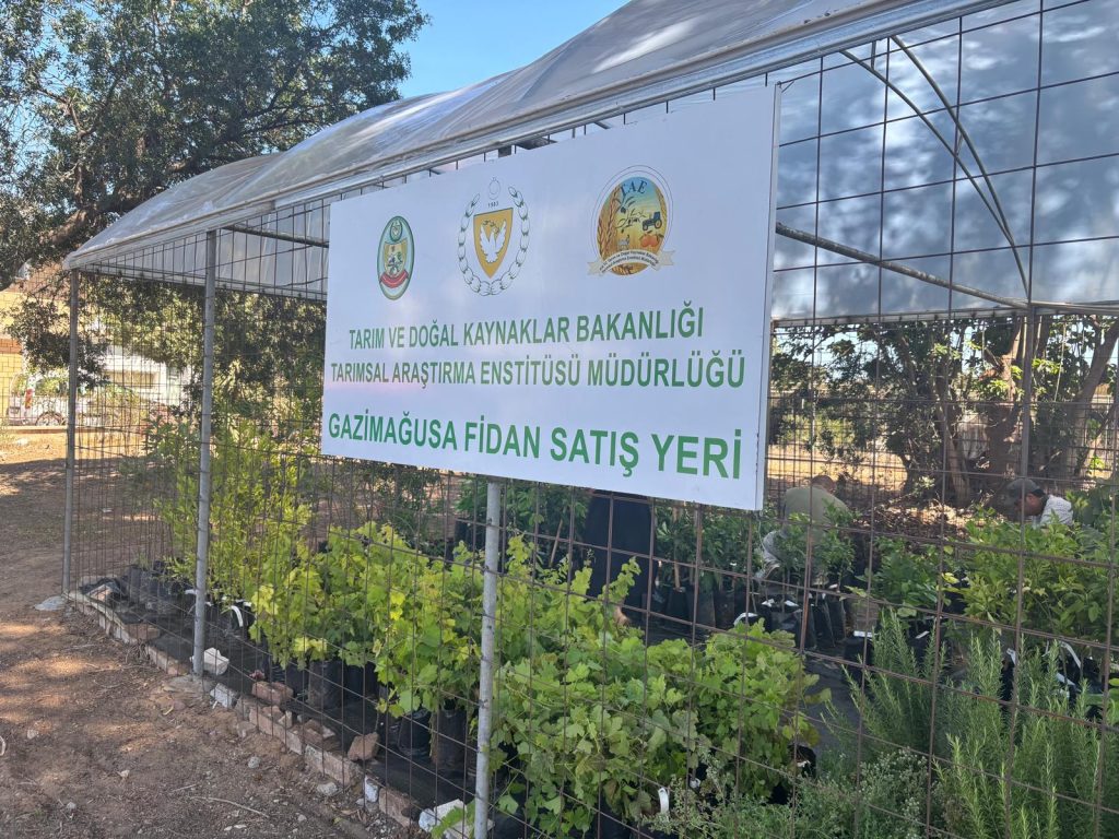 Gazimağusa’da fidanlık satış yeri hizmete girdi – BRTK