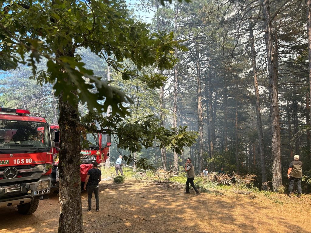 Bursa’nın 2 ilçesinde çıkan orman yangınına müdahale ediliyor – BRTK