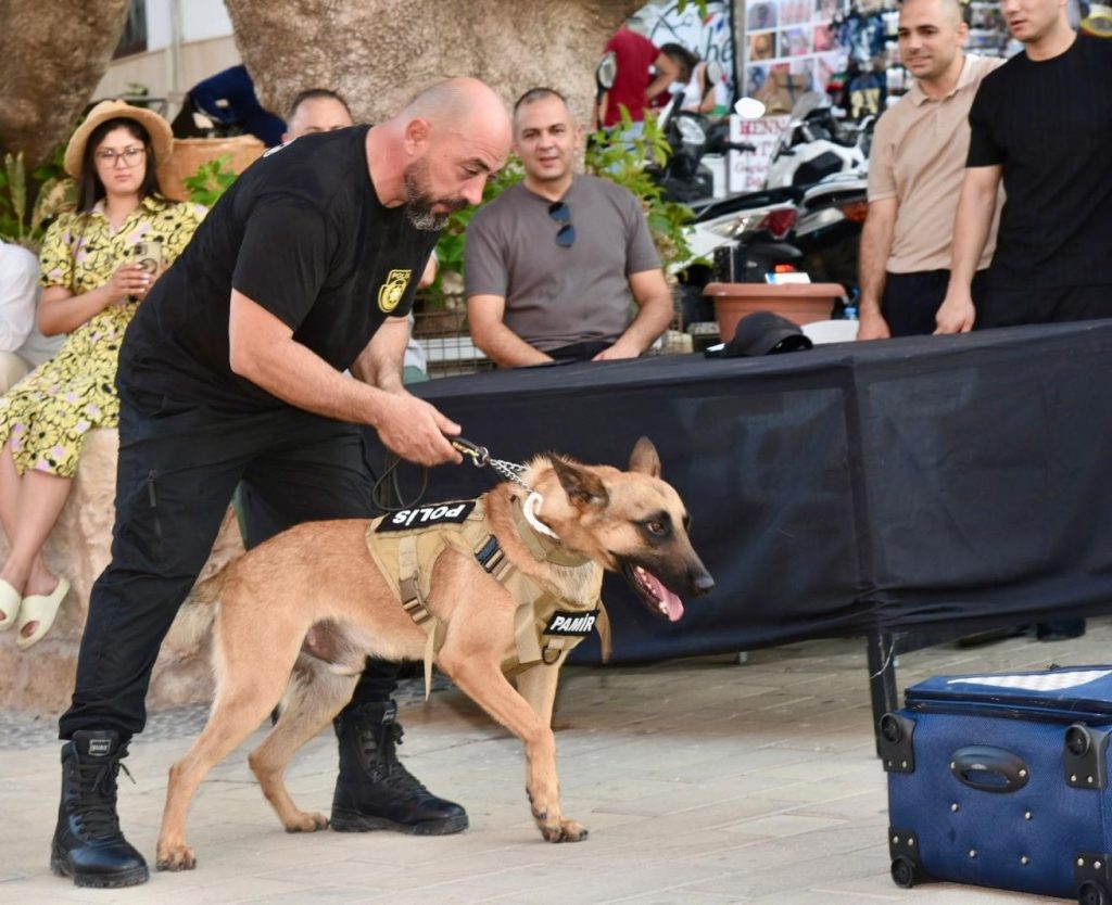 Suçluların korkulu rüyası “süper burun” dedektör köpekler her an göreve hazır – BRTK