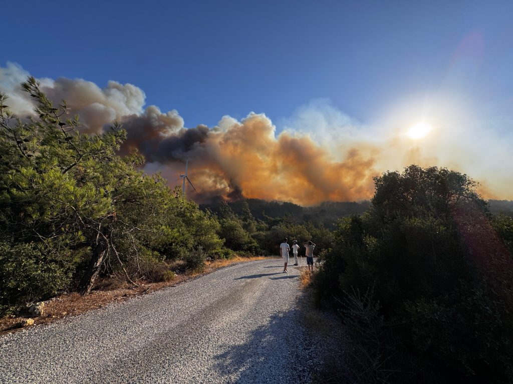 İzmir’in Urla ilçesinde orman yangını – BRTK