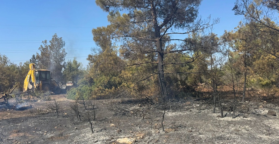 Esentepe-Karaağaç bölgesindeki yangına 29 muhtelif cinste araçla müdahale edildi – BRTK