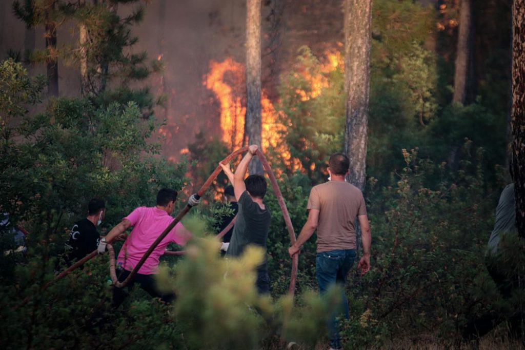 Bursa yangınlarında dört kişi hayatını kaybetti – BRTK