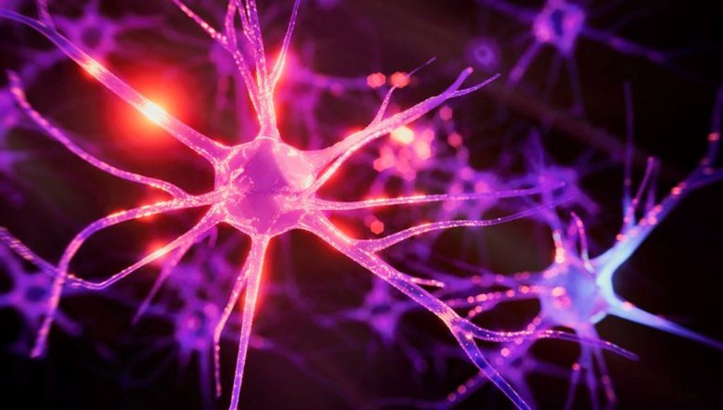 Beynin hafızası tamamen dolabilir mi? – Son Dakika Teknoloji Haberleri