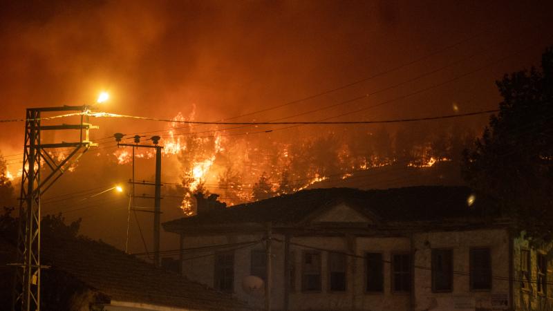Sakarya ve Bilecik’te orman yangınlarına müdahale ediliyor – BRTK