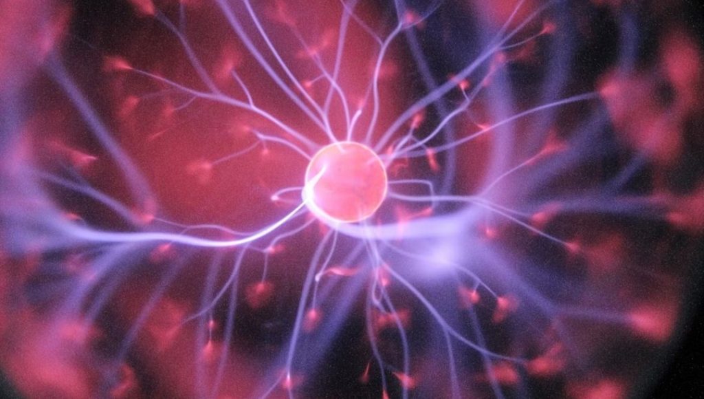 Sinirbilimciler tarih verdi: “Ölülerin beyinlerinden anıları çıkarıp almak mümkün” – Son Dakika Teknoloji Haberleri