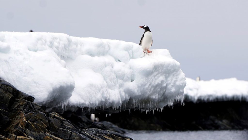 1,5 milyon yıllık buzda saklı şifre: Bilim insanları en büyük sırrı çözüyor – Son Dakika Dünya Haberleri