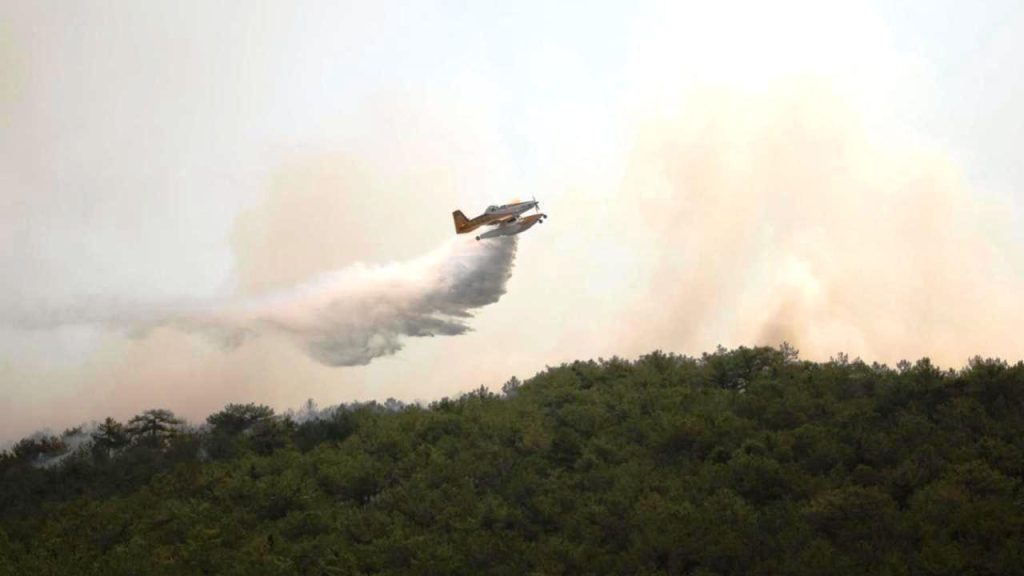 Türkiye, orman yangınlarıyla mücadeleye devam ediyor – BRTK