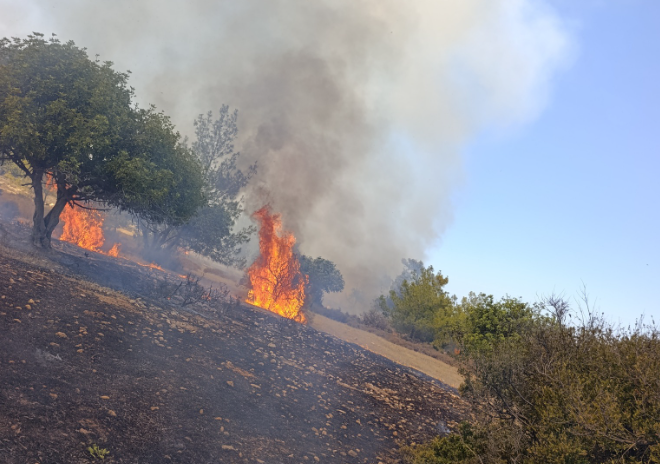 Esentepe-Karaağaç bölgesinde yangın