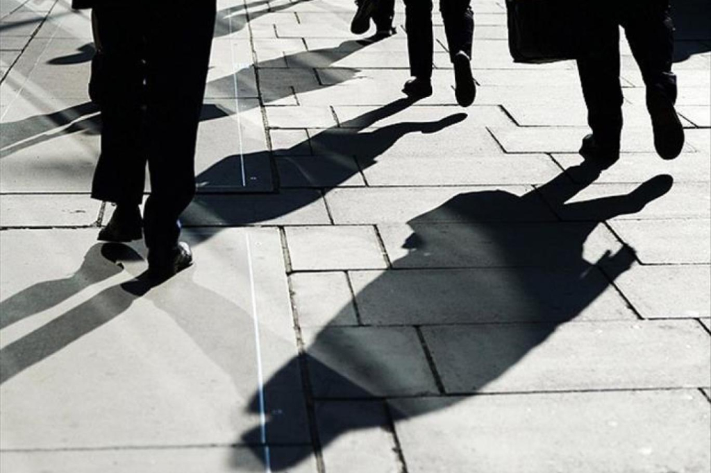 KKTC genelinde 2024 yılında işsizlik oranı yüzde 4.9, istihdam oranı yüzde 50.5 – BRTK