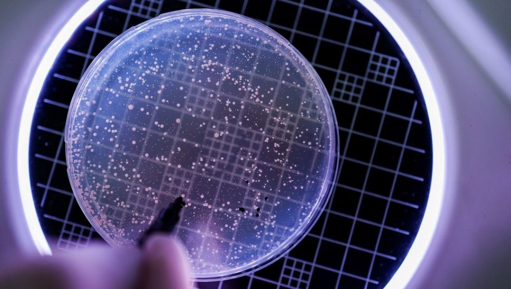 Tüm virüslere karşı etkili ilaç geliştirildi: Evrensel bağışıklık mümkün mü? – Son Dakika Teknoloji Haberleri