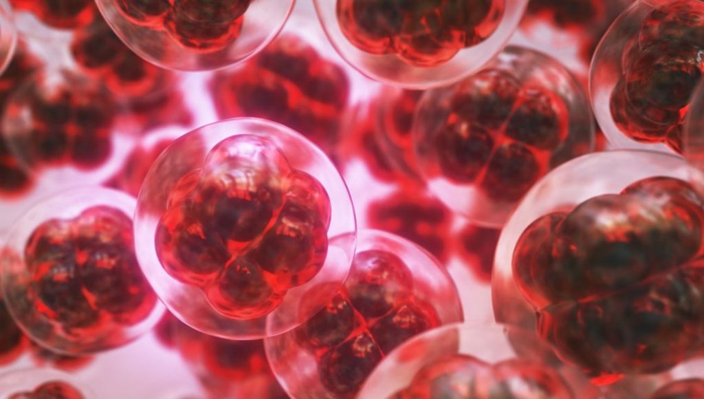 Silikon Vadisi’nde zeki bebek yarışı: Embriyo testlerine 50 bin dolar ödüyorlar – Son Dakika Ekonomi Haberleri