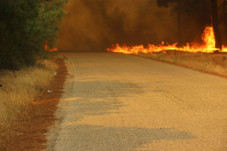Çanakkale’de orman yangını – BRTK