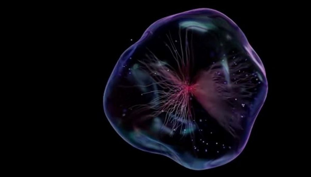 Bilim insanları yaşamın sırrını çözmeyi başardı – Son Dakika Teknoloji Haberleri