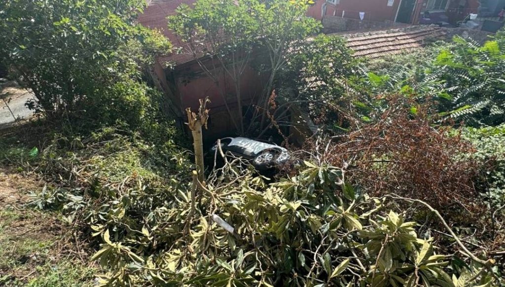 Evin bahçesine düşen otomobilin sürücüsü yaralandı