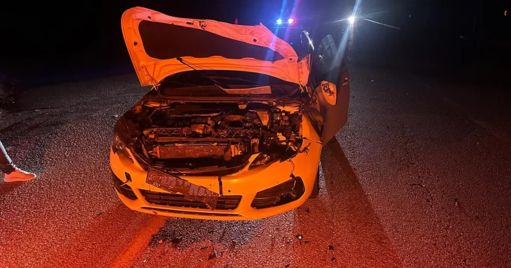 Yola çıkan dana kazaya neden oldu: 2 yaralı