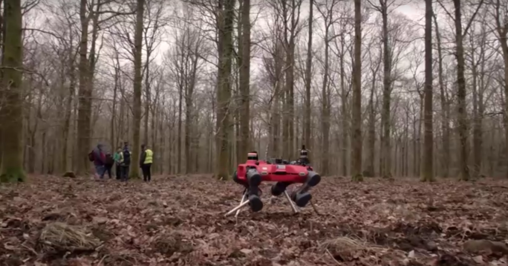 Robot köpek ormanlarda görevde gerisini kurtlar düşünsün