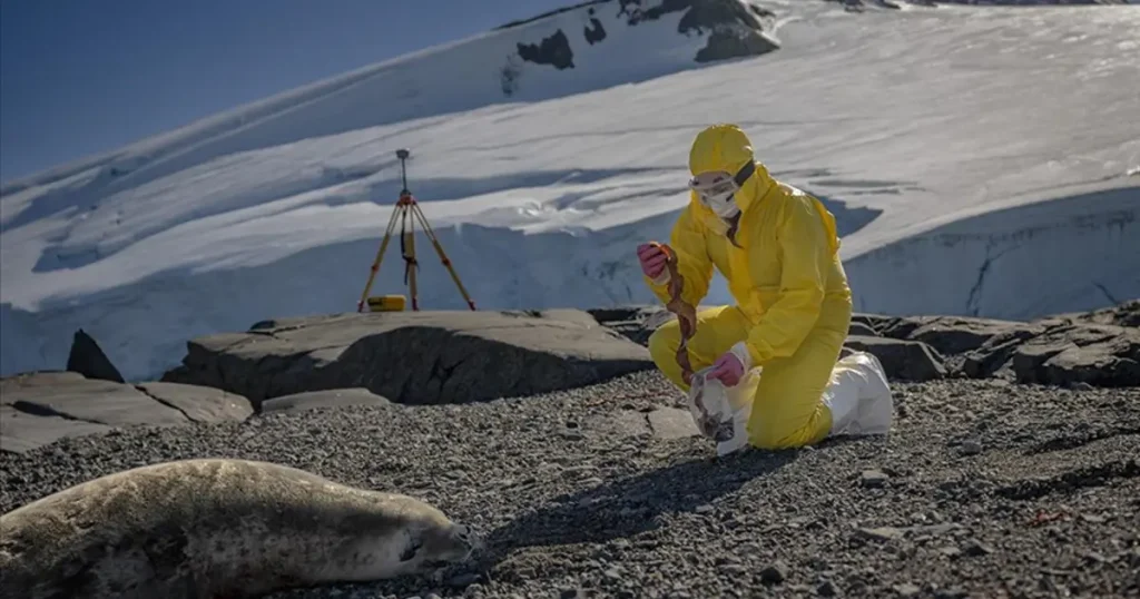 Türk bilim insanları Antarktika’daki araştırmalarıyla sağlık ve tarıma ışık tutuyor