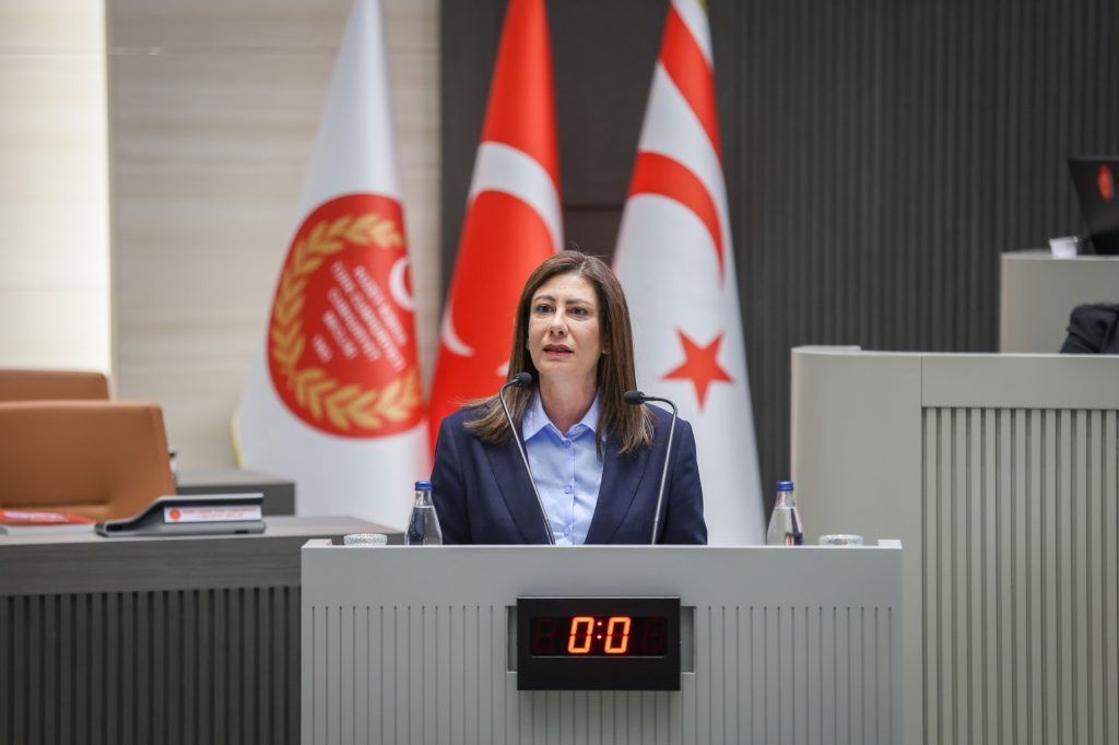 “Ülkenin dijital güvenliği ciddi bir güvenlik meselesi” – BRTK