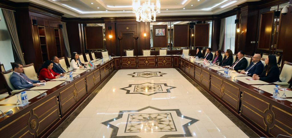 “Kıbrıs Türk halkına verilen destek büyük anlam taşıyor” – BRTK