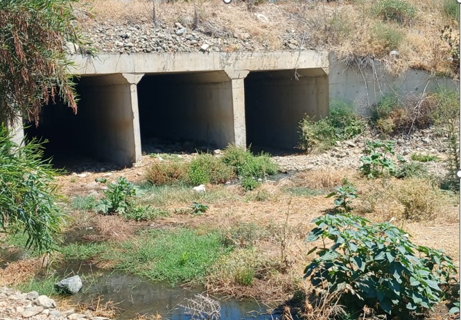 Lefke Çevre Derneği fosseptik sorununa çözüm istedi – BRTK