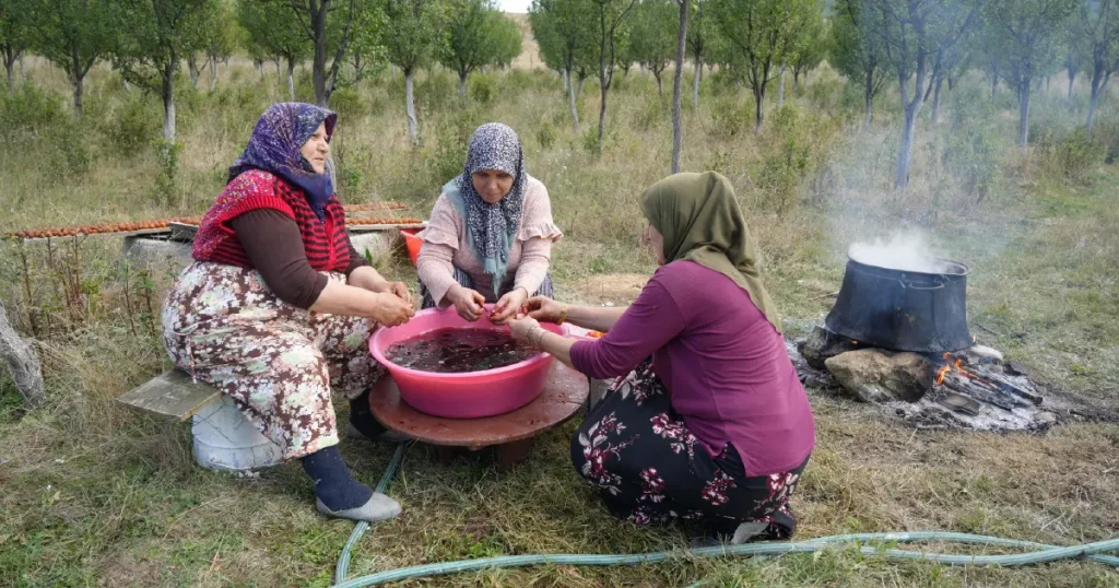 Sadece Kastamonu’da yetişiyor. Magnezyum, potasyum, demir deposuymuş